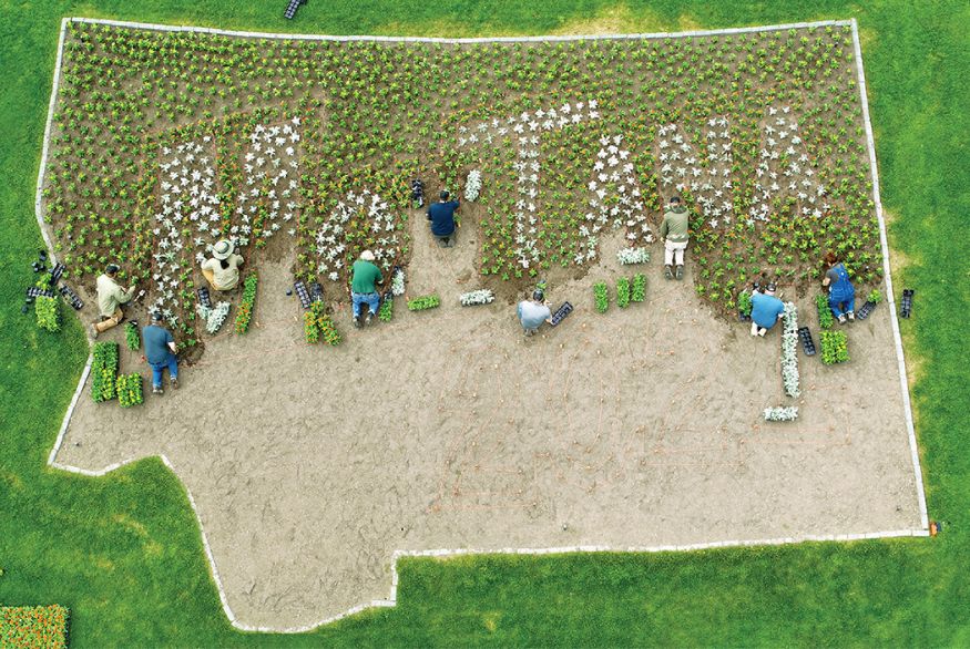 Group of gardeners planting the Montana state garden