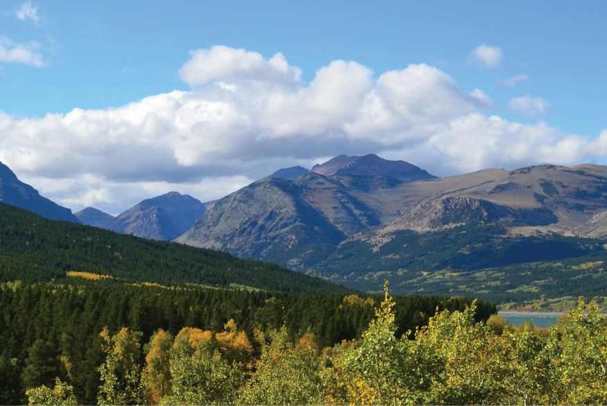 Montana Mountain Landscape
