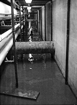 Pine Hills School basement where a water main broke, causing significant water damage