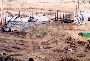 Fire damage from the Red Bluff Fire