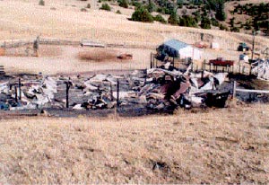 Fire damage from the Red Bluff Fire