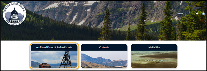 screenshot showing the Portal home page with the 'Audits and Financial Review Reports' button highlighted