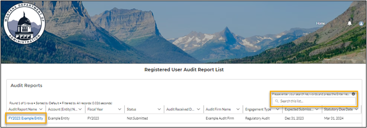 screenshot showing the 'Registered User Audit Report List' with a hyperliniked record highlighted, along with a Search input highlighted