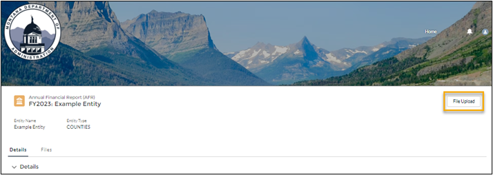 screenshot of the page for the record a user would want to upload files to