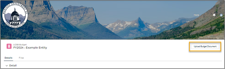 screenshot showing a budget record with the 'Upload Budget Document' button highlighted