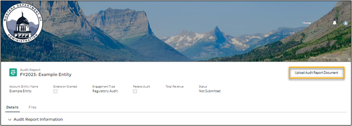 screenshot showing an audit report record screen, with the 'Upload Audit Report Document' button highlighted