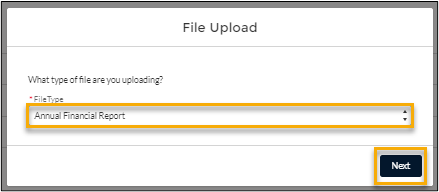 screenshot showing a user should select 'Annual Financial Report' as the file type, with the Next button highlighted