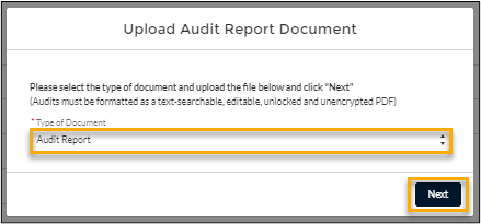 screenshot showing the 'Upload Audit Document Report' dialog, with the type of document field and Next button highlighted