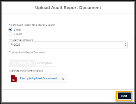 screenshot of the 'Upload Audit Report Document' dialog with the Next button highlighted